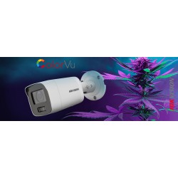 Промоция на Hikvision: Експертни решения на специални цени!