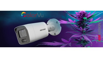 Промоция на Hikvision: Експертни решения на специални цени!